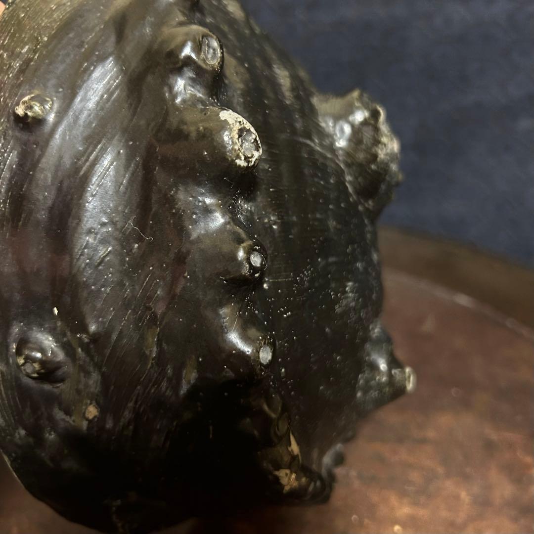 珍品古伊万里（平戸焼、湖東焼？） あわび型の変形皿 無傷 本物保証