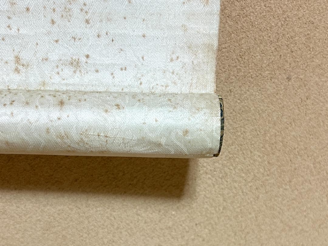 痩石 掛け軸 中国書画　花鳥　西園　秋　時代物　清