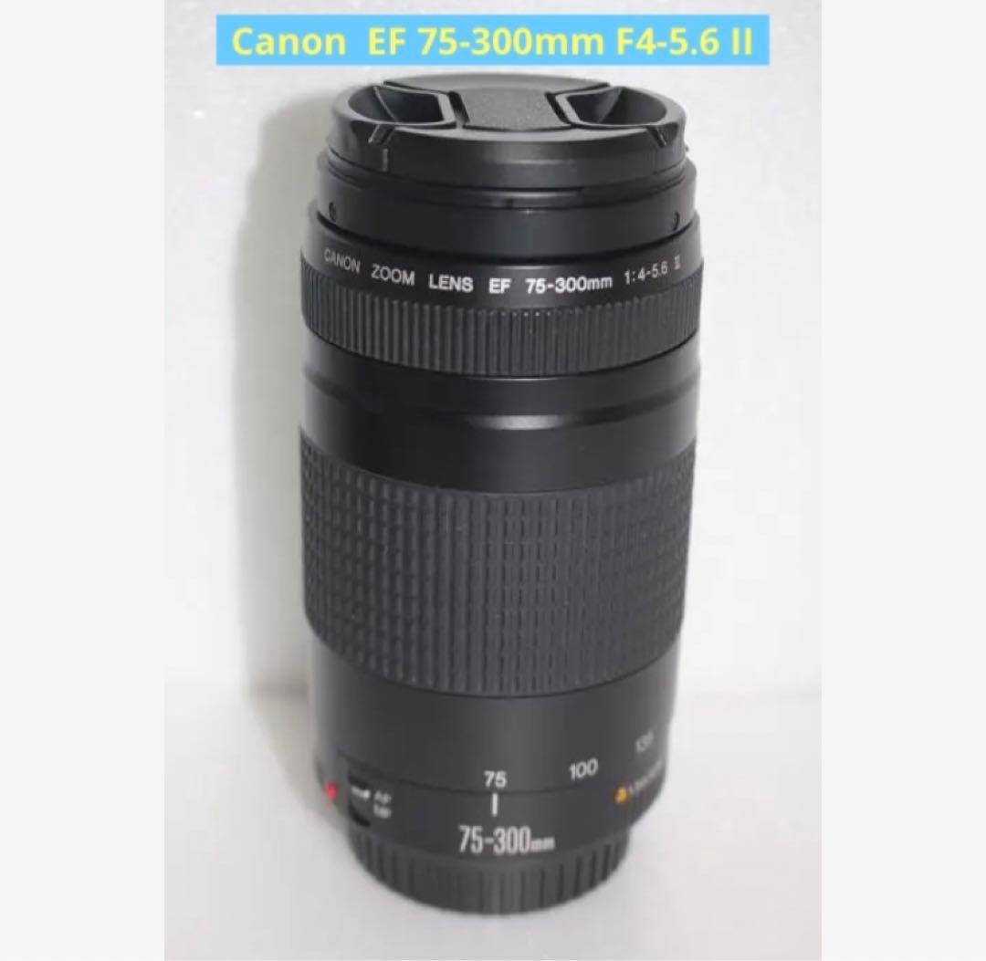 極上品☆フード付☆迫力の300㎜☆キャノン Canon EF75-300㎜
