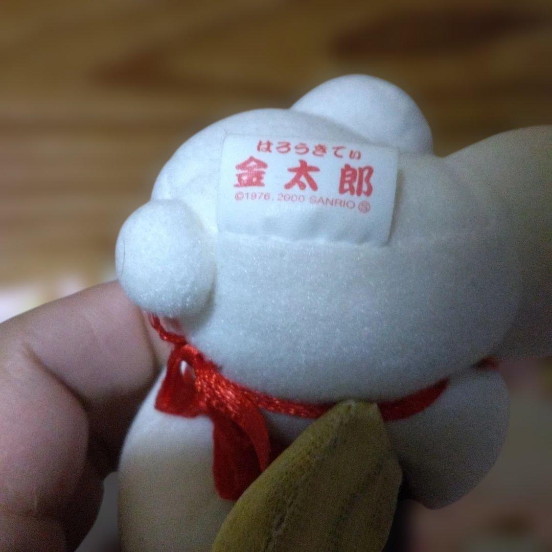 超激レア‼️２０００年ハローキティ 御当地箱根ぬいぐるみキーホルダー