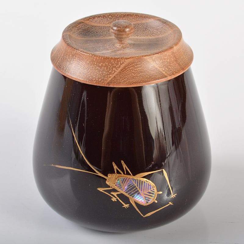 茶道具　山中塗　筑城筑良造　螺鈿装飾　虫絵　茄子茶器　共箱　V　R6405