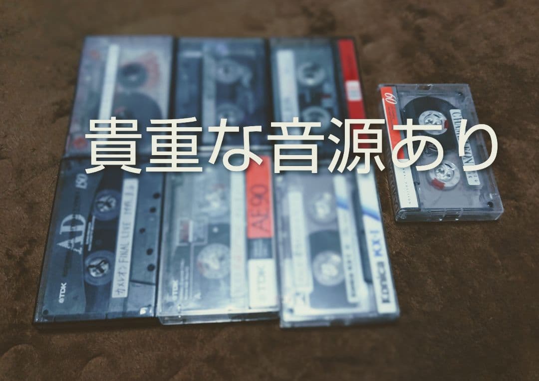 貴重】新堂敦士率いるカメレオンファンクラブ会報 全20冊 【音源など