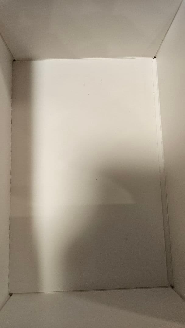 S.H.Figuarts 真骨彫 仮面ライダーW 仮面ライダージョーカー