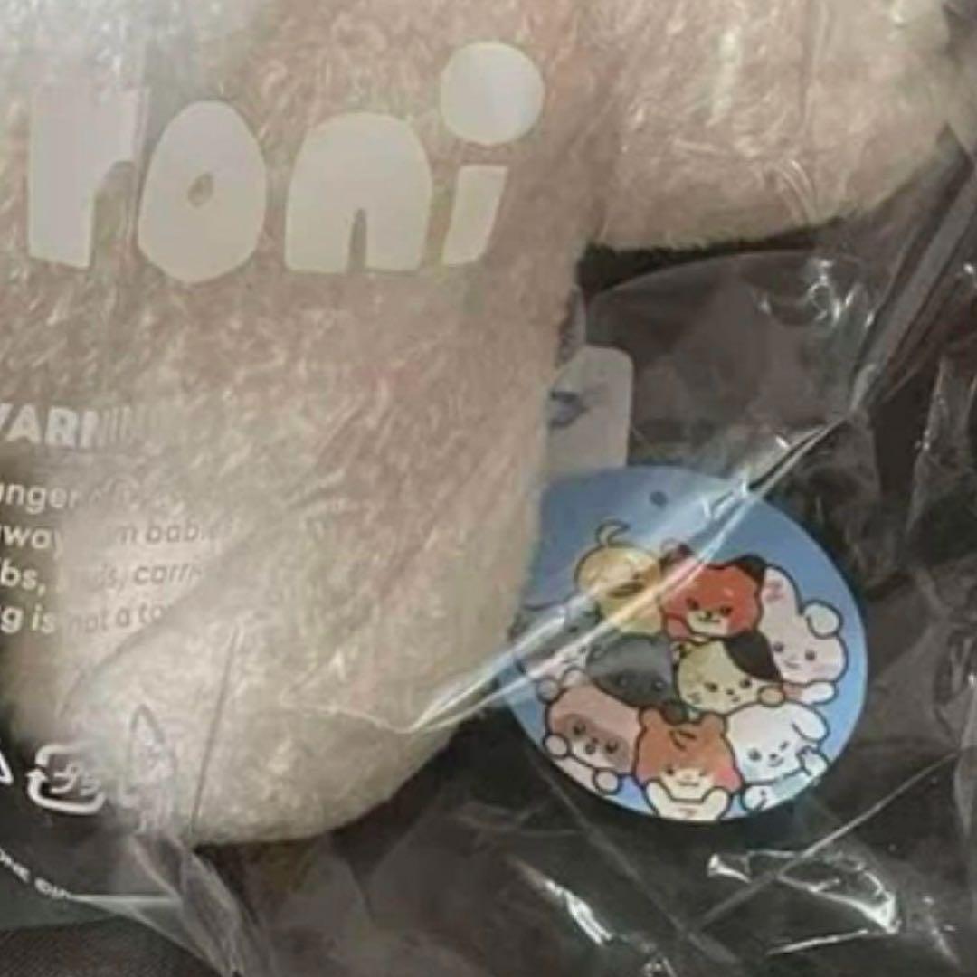 zb1 フラットぬいぐるみ　hanini