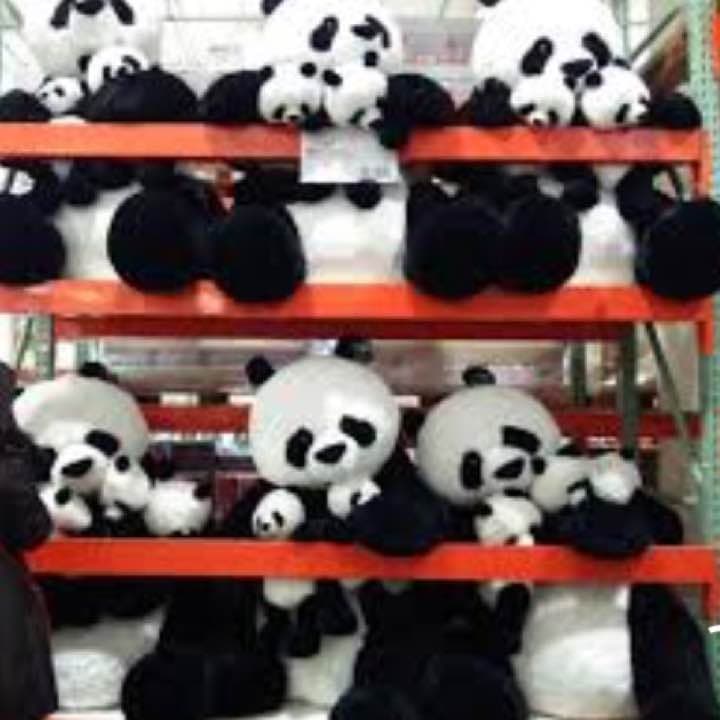 コストコ パンダ ぬいぐるみ - メルカリ