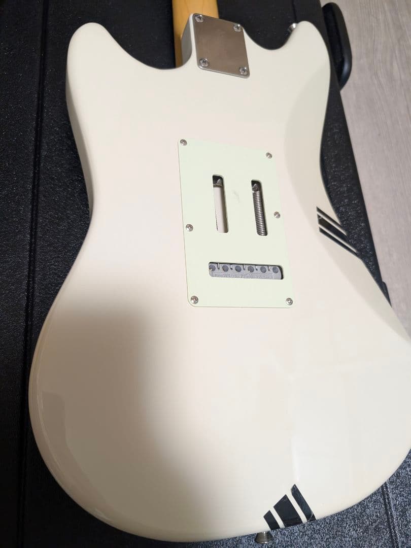 フジゲン サイクロン nccy