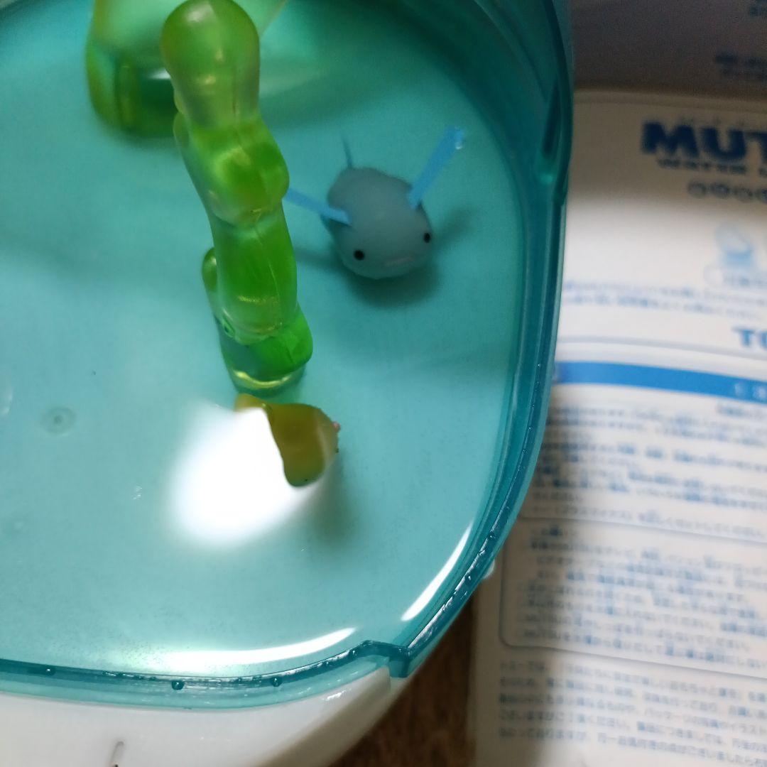 美品 ウォータールーパームツ TOMY トミー