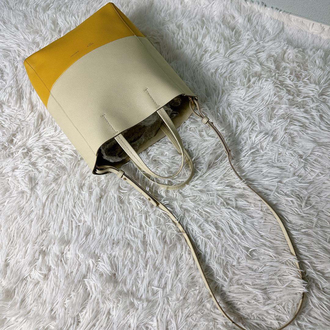 極美品✨セリーヌ バーティカルカバ スモール 2way フィービー期 ハンド