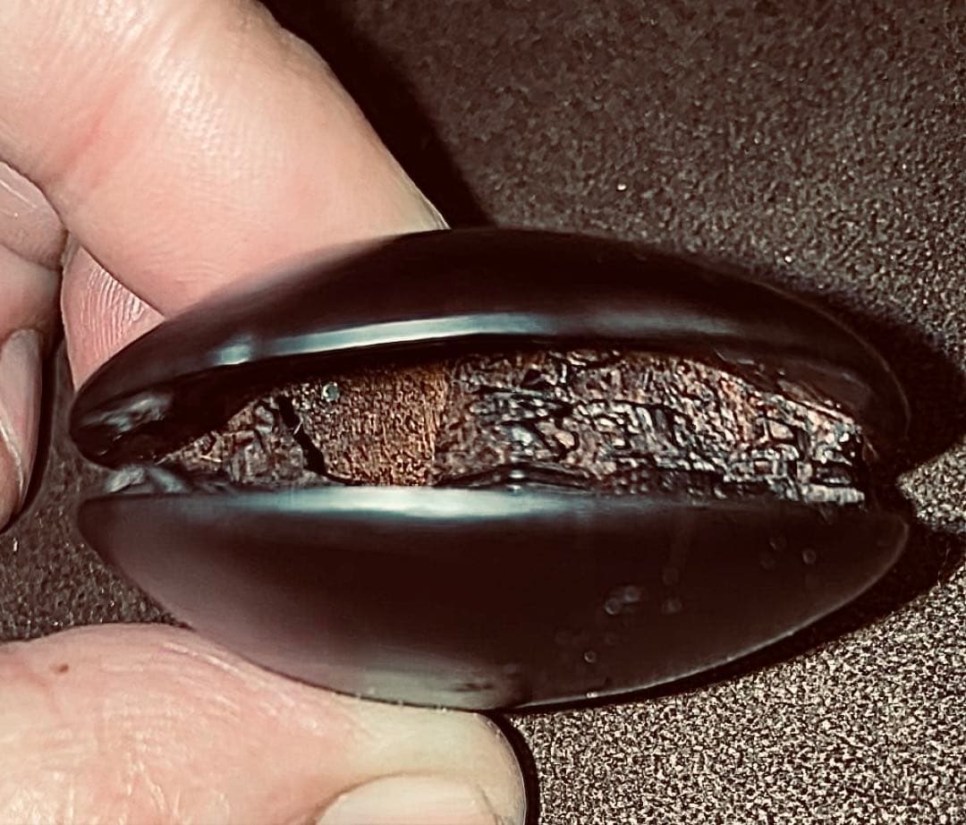 ⚫️歳末セール⚫️ 名工 玉光銘 細密彫刻 蛤根付 木製