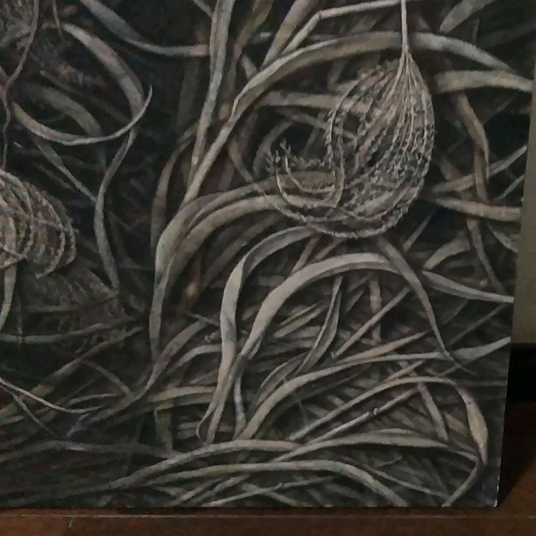 日本画　夕日に燃えるすすき