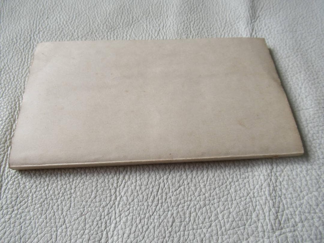 ◆極希少 大正12年◆浜名湖観光案内『浜名湖畔 湖岸探勝』木版画 表紙 100頁