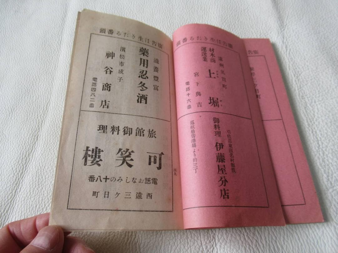 ◆極希少 大正12年◆浜名湖観光案内『浜名湖畔 湖岸探勝』木版画 表紙 100頁