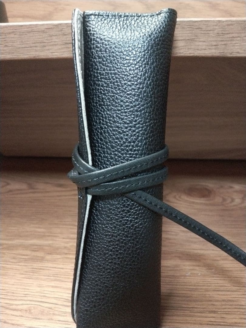 パイロット万年筆カスタム 槐 エンジュ モクメ 18K-750 15 F