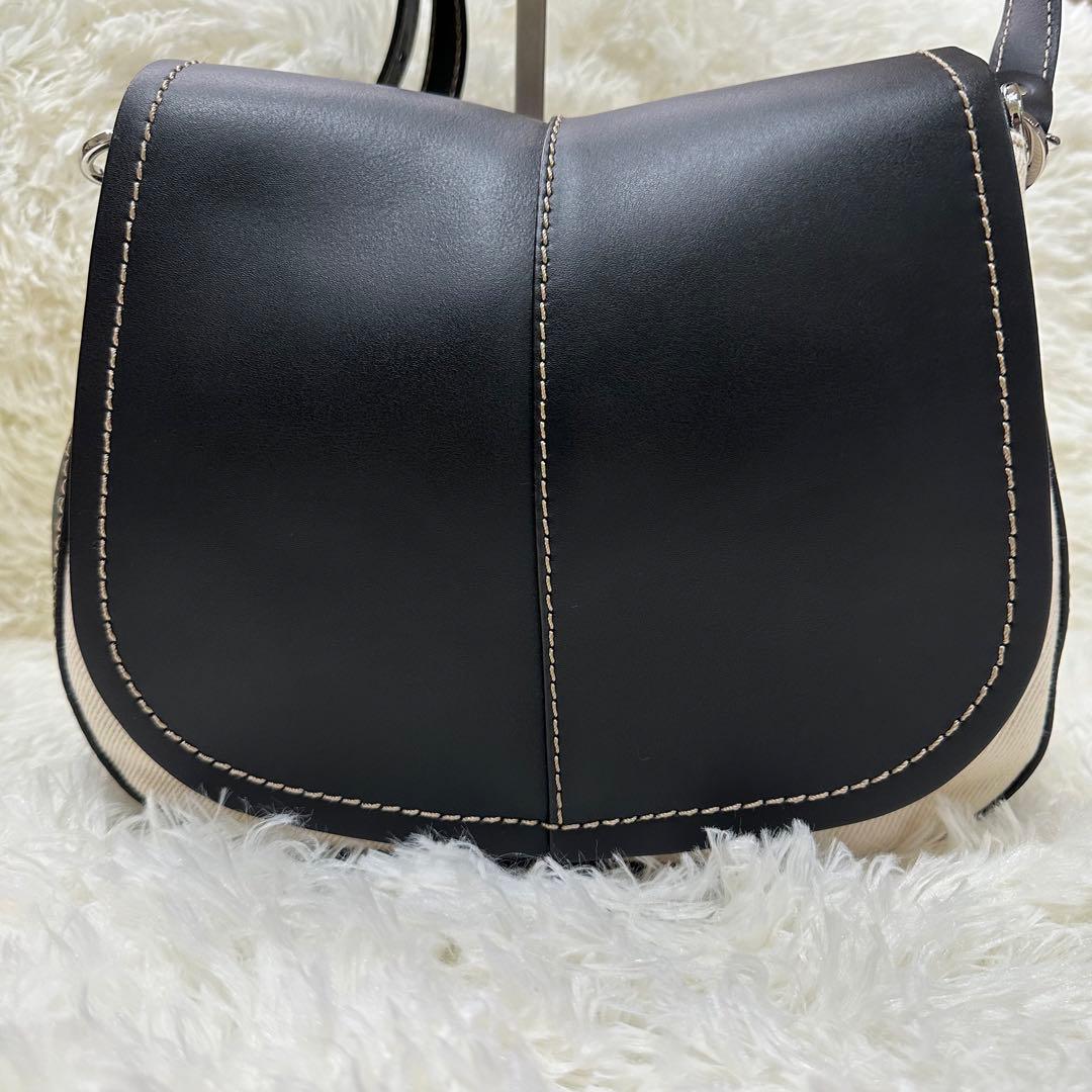 【美品】GIANNI CHIARINI ショルダーバッグ ブラック×ベージュ