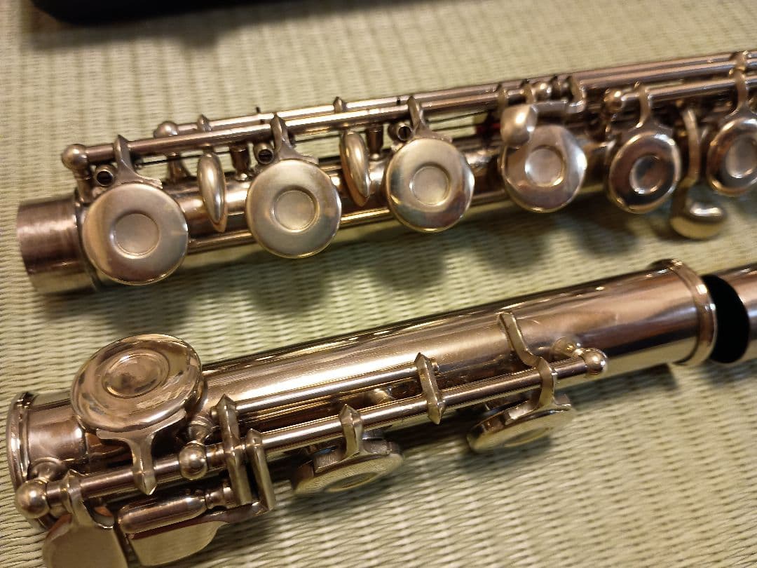 タネフルート 全タンポ交換済み