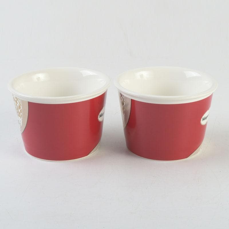 ハーゲンダッツ　スーパープレミアムクラブ　カップ＆スプーン　C　9370