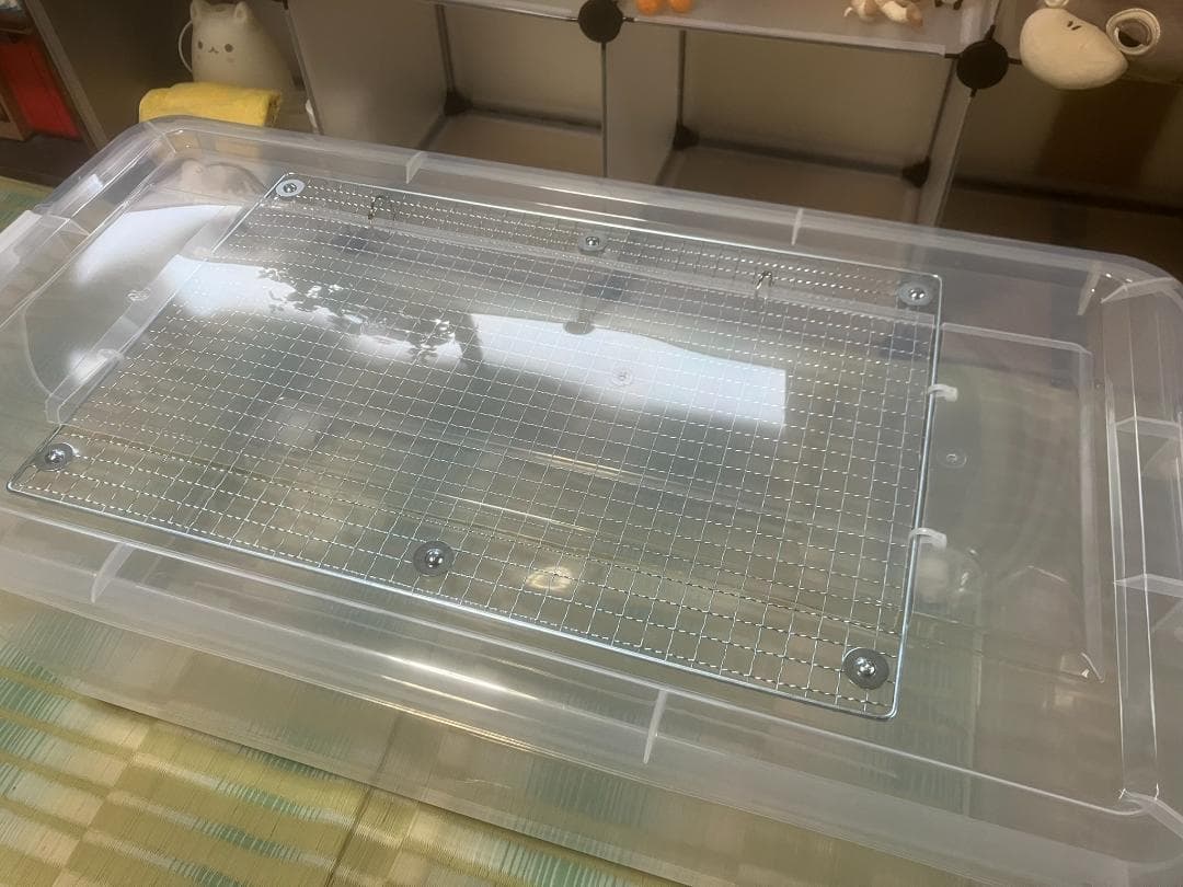 ④【お得2個セット】広い大きい快適な爬虫類・両生類用飼育ケース