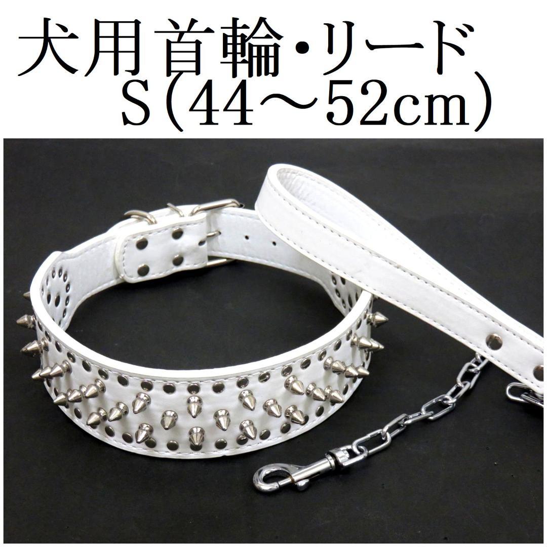 首輪 チェーンリード セット S 白 スタッズ 大型犬 ホワイト 散歩