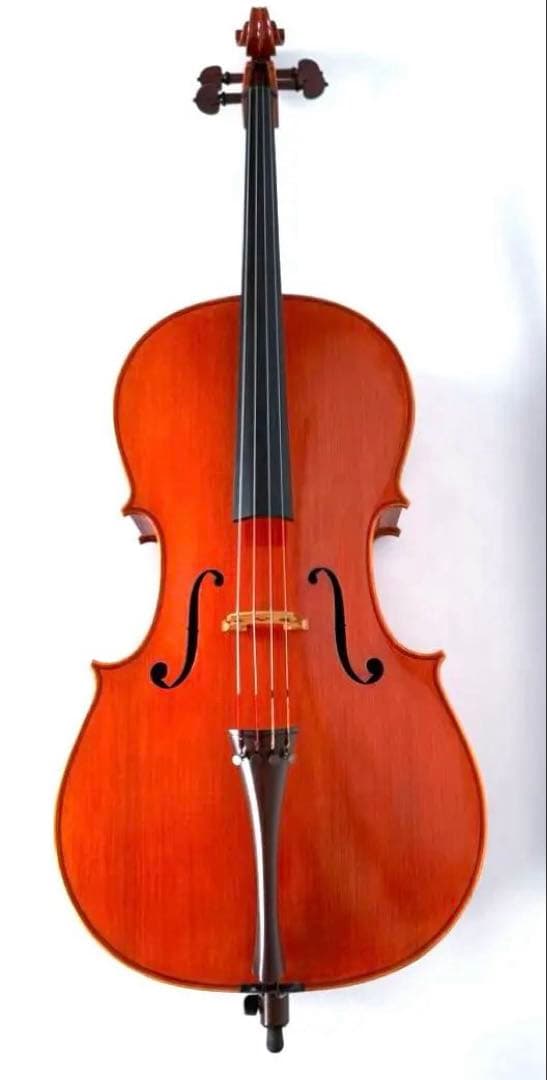 【極上美品】Pygmalius Rubino Excellent チェロ 4/4