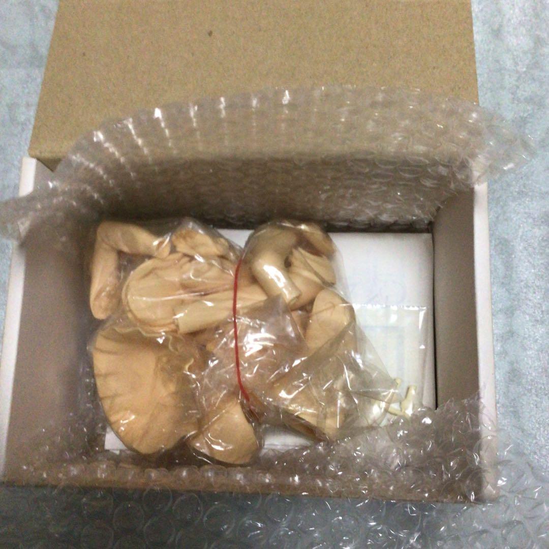 トリブレイン ガレージキット チョコちゃん 未組み立て中古品 大晦日