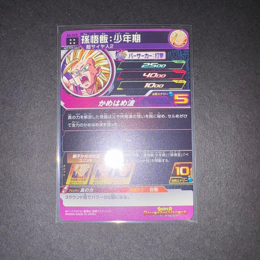 H2-16 孫悟飯:少年期 本家 微細な白かけあり H2-16 孫