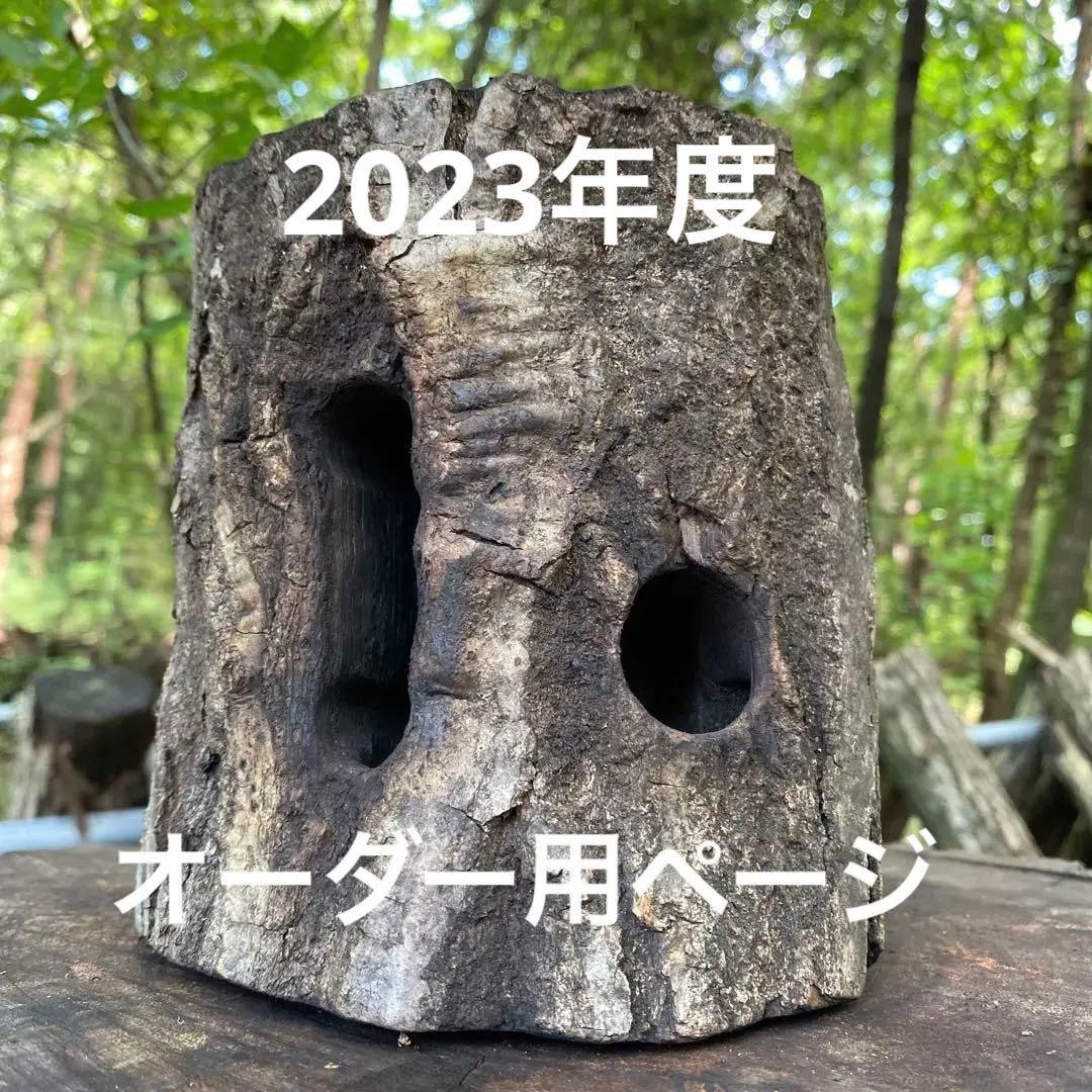 クワガタ カブトムシ 天然コナラ 樹洞加工 止まり木 登り木 クワリウム