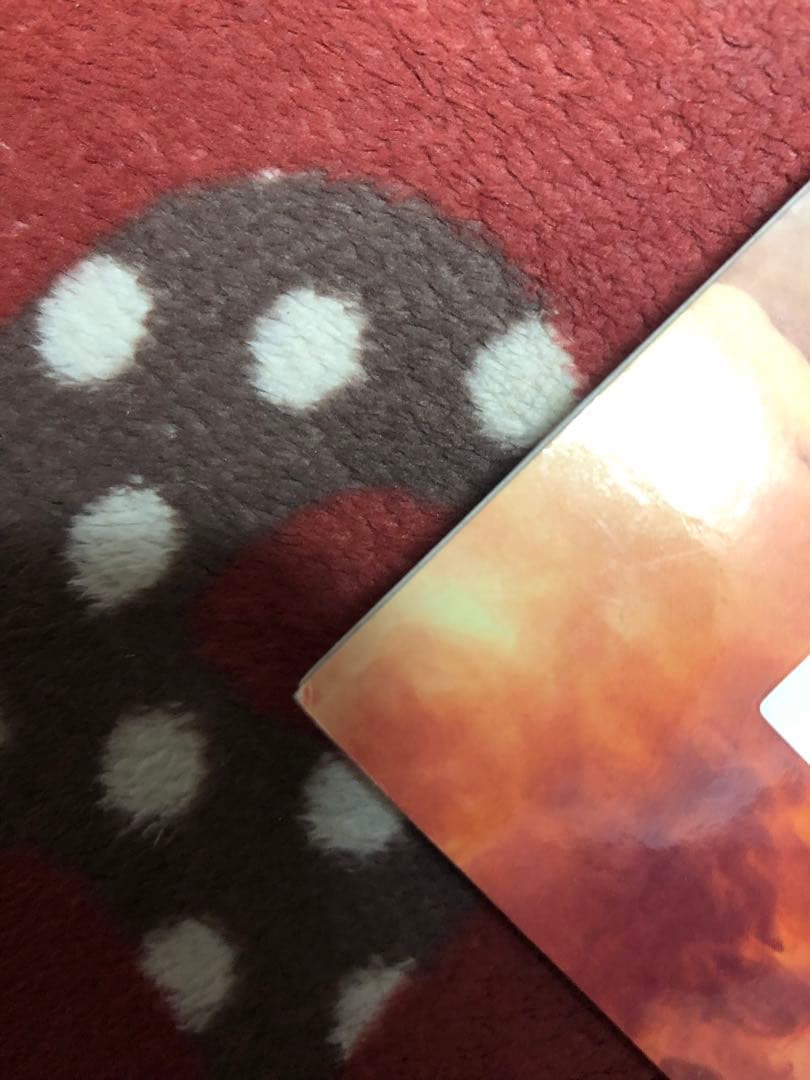 櫻坂46 欅坂46 田村保乃 直筆サイン入りパネル