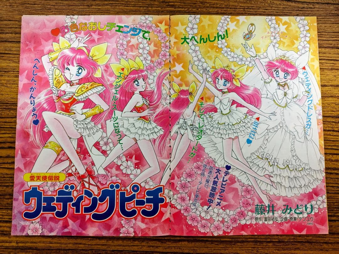 ア*ナ様 1995年愛天使伝説ウェディングピーチ .藤井みどりオリジナル