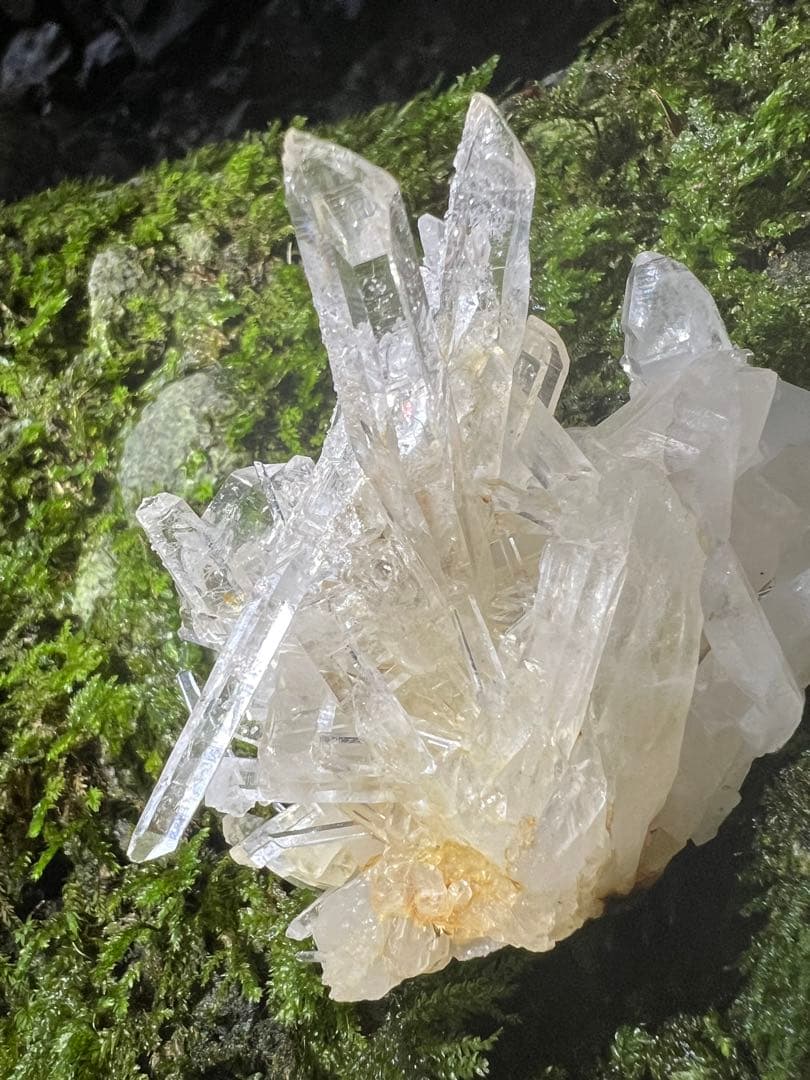 龍脈の精髄 水晶クラスター 「光を宿す透明なる守護」 宮崎県産 保護猫