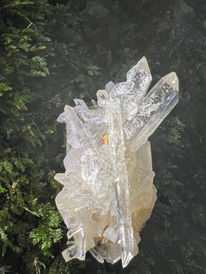 龍脈の精髄 水晶クラスター 「光を宿す透明なる守護」 宮崎県産 保護猫