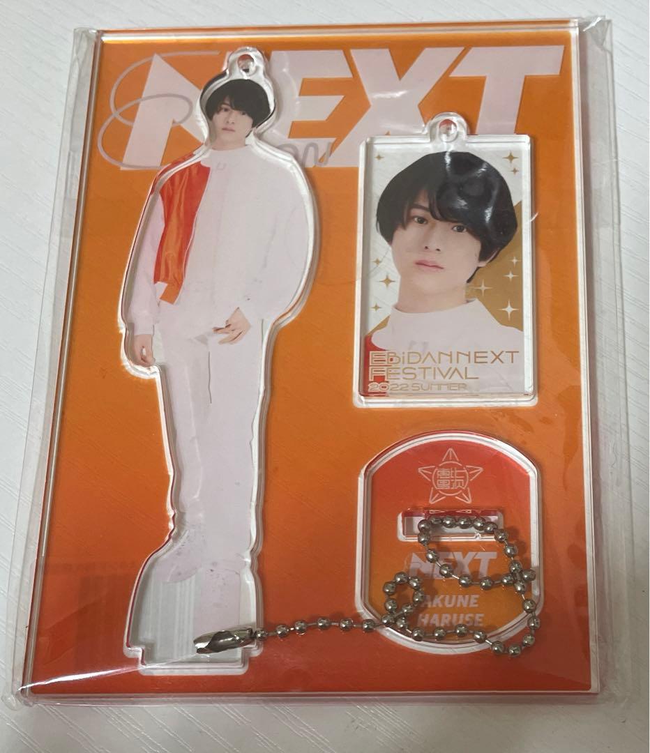 HARUSE AKUNE ぬいぐるみ・アクリルスタンドセット ICEx 阿久根温世