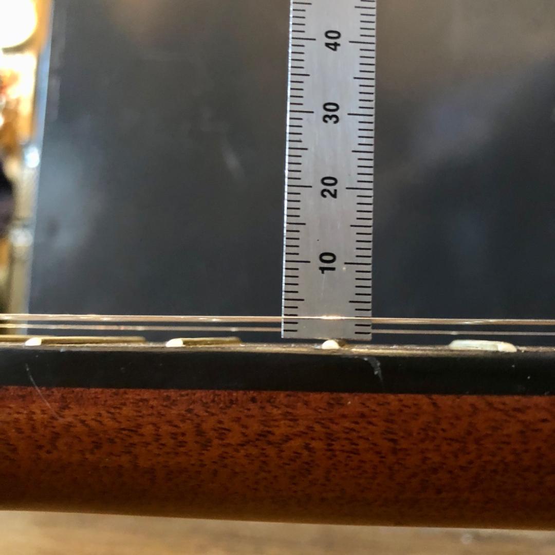 Blanton BB-10R Banjo ブラントン バンジョー -x049-