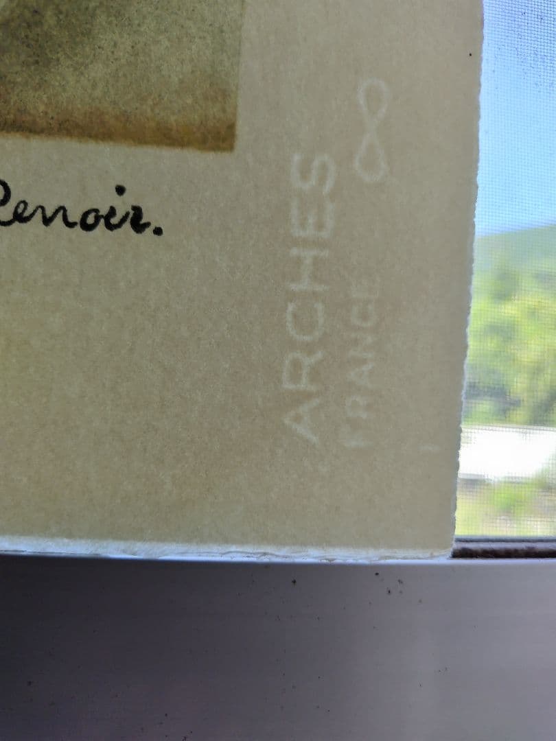 ルノアール、たかを持つ少女、鷹と少女