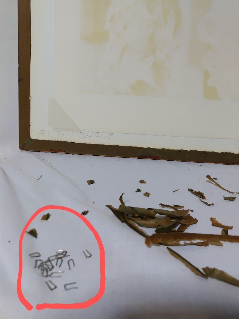 ルノアール、たかを持つ少女、鷹と少女