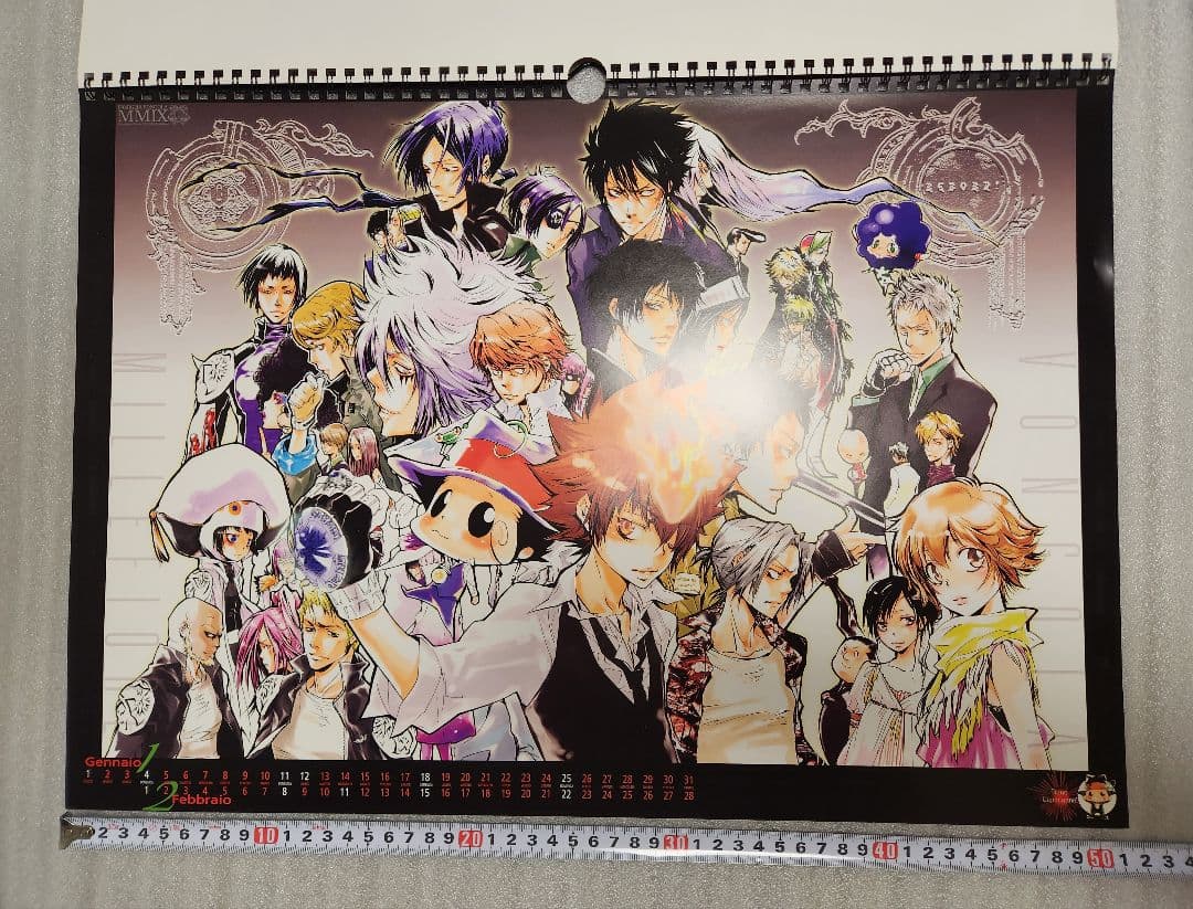 希少品】家庭教師ヒットマンREBORN 2009年カレンダー