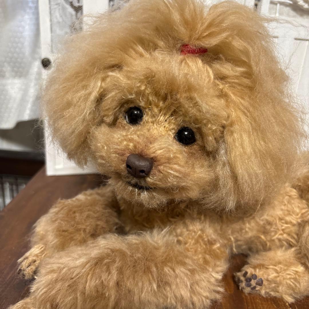 羊毛フェルトトイプードル ♡ティファニー♡様専用