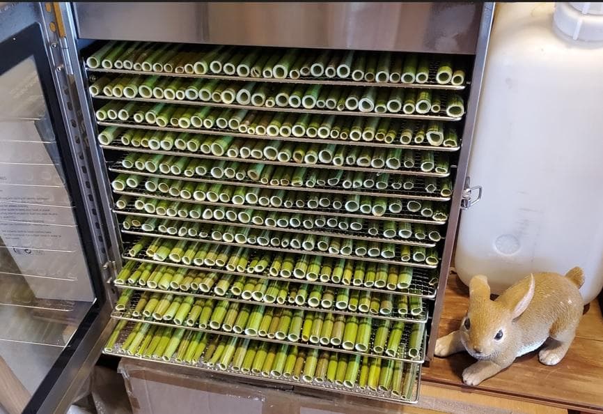 大容量 2800g (国産・高品質)乾燥パパイヤの茎（無農薬・有機肥料） 大容量