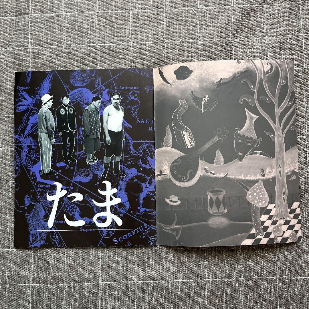 たま たまの方向音痴 ツアーパンフレット C99341119 最新