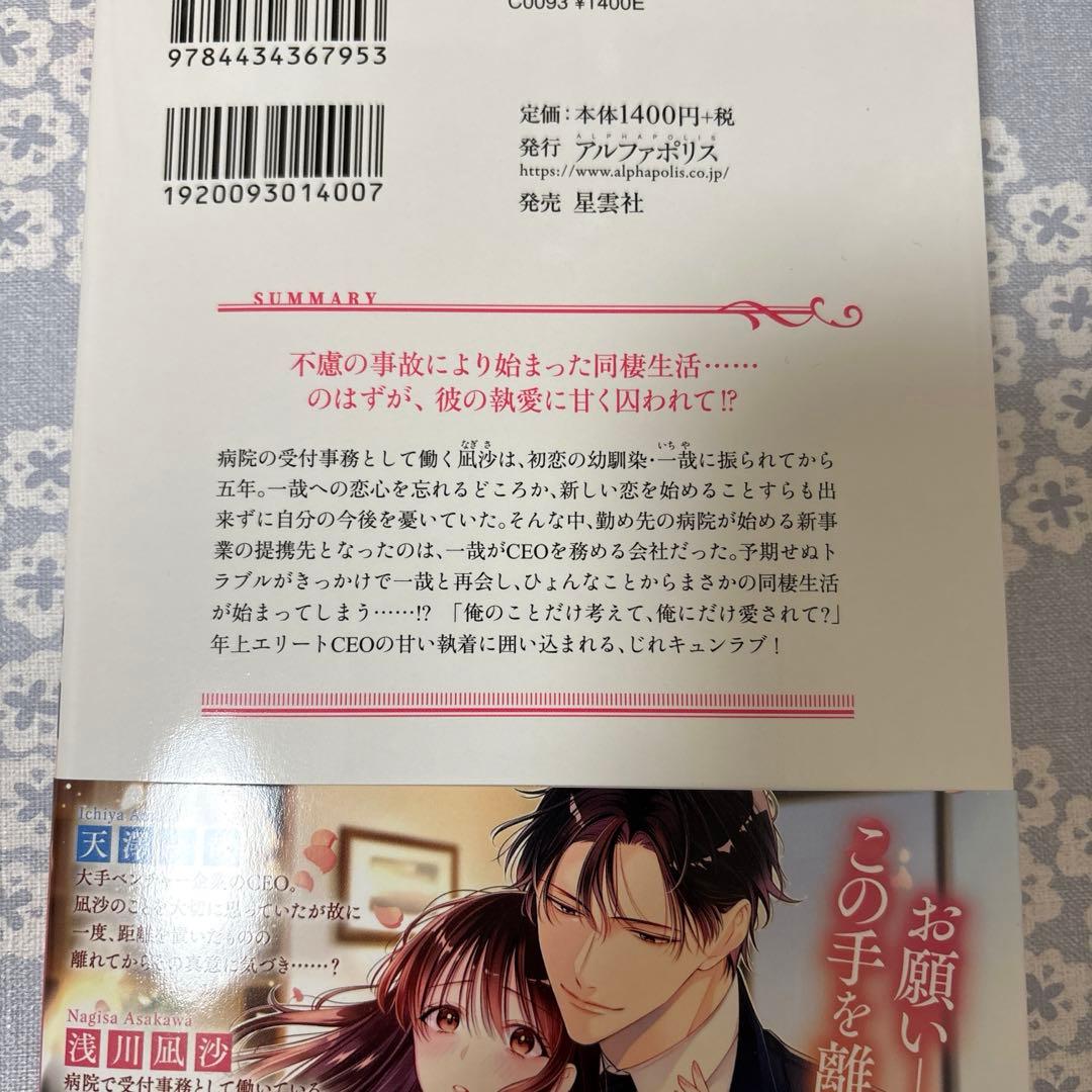 専用】エタニティブックス・ルネッタブックス・ヴァニラ文庫 11月新刊