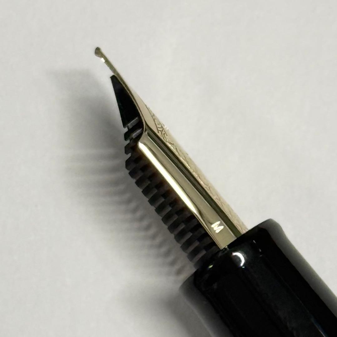SAILOR セーラー 伝統漆芸 麗 石川 創作加賀塗 万年筆 中字