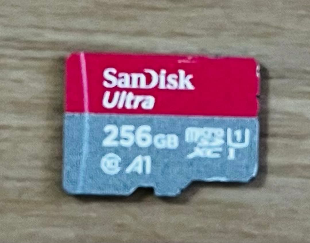 美品中古 SONY NW-A306本体➕純正ケースと256Gのmicro SD