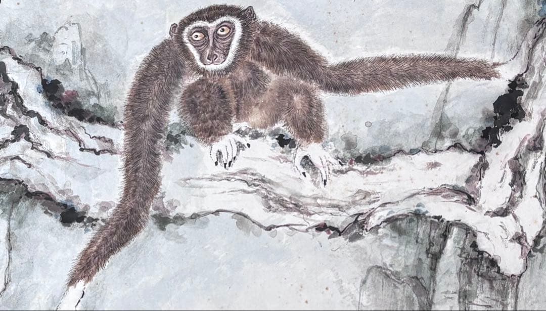 水墨画 深山猿啼 謝陽画 横長 中国 絵画 猿 掛軸 箱付 張大千大風