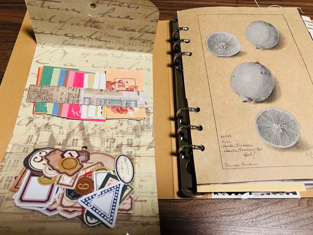 おすそ分けファイル✳︎ジャンクジャーナル風