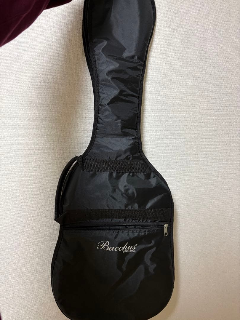 Bacchus テレキャスター ギターケース付き