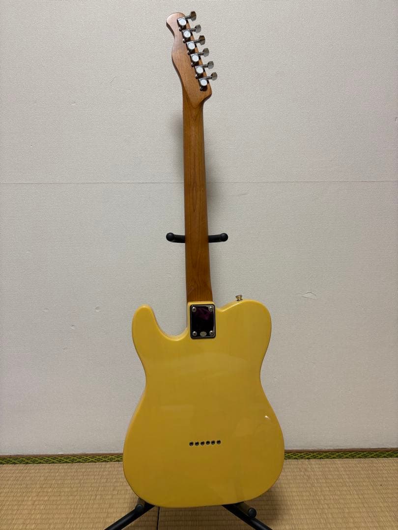 Bacchus テレキャスター ギターケース付き