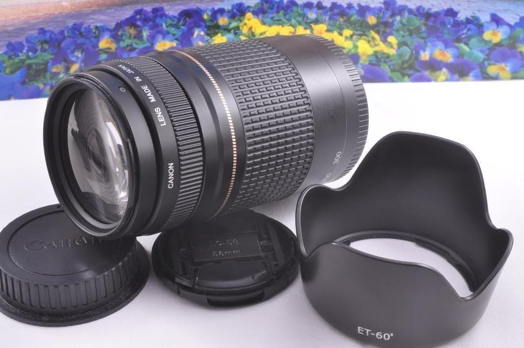 望遠レンズ Canon キヤノン 迫力の75-300mm レンズフード付き！