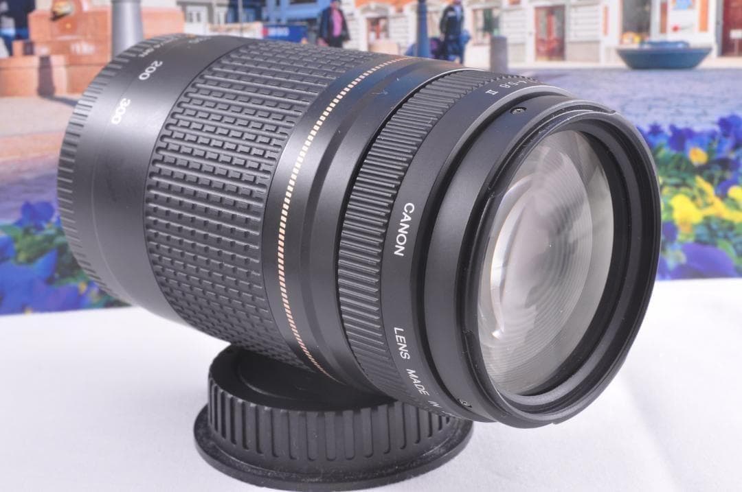 望遠レンズ Canon キヤノン 迫力の75-300mm レンズフード付き！