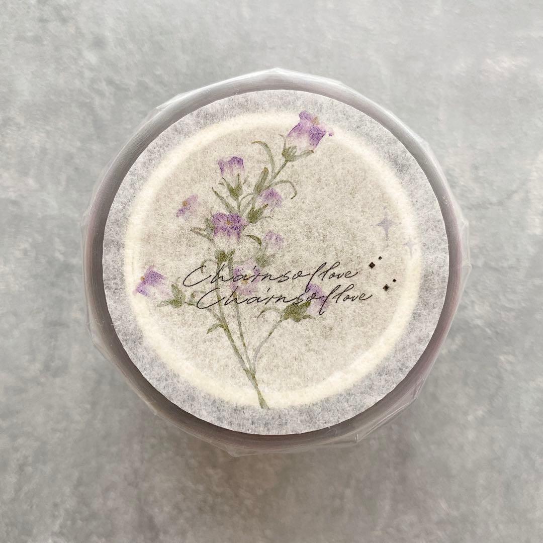 ⭐️SALE⭐️ 媛子文创《一抹春》海外マスキングテープ　マステ 【1875】