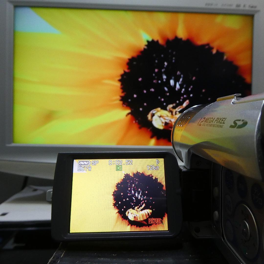 動作良好 パナソニックNV-GS120 MiniDVビデオ　DVDダビングに最適