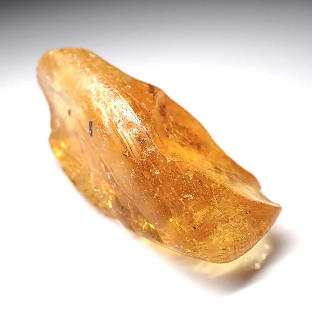 オーストラリア産】ゴキブリ入り！天然琥珀(アンバー)